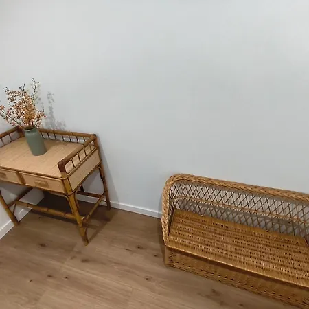 Xelina B Apartamento